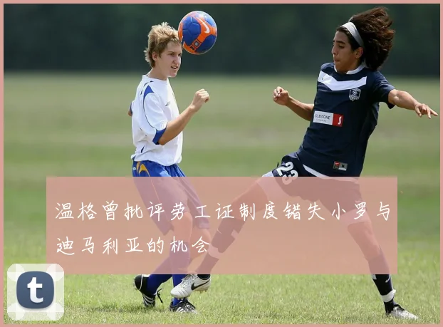 温格曾批评劳工证制度错失小罗与迪马利亚的机会