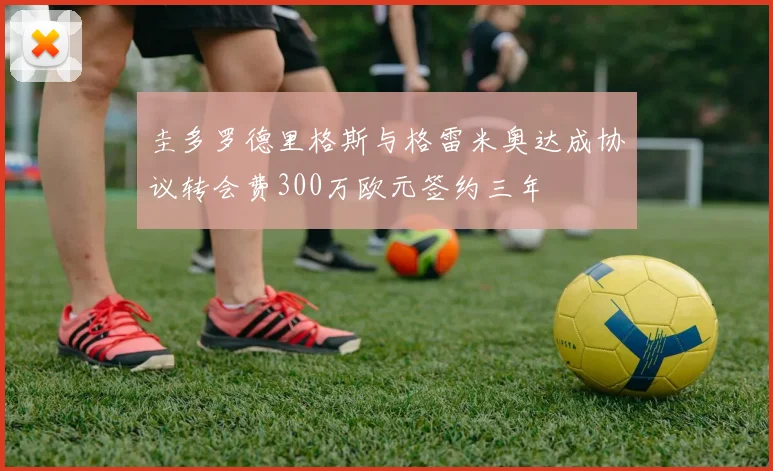 圭多罗德里格斯与格雷米奥达成协议转会费300万欧元签约三年