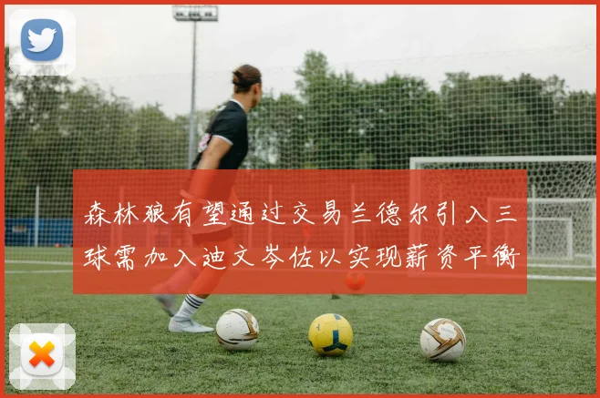 森林狼有望通过交易兰德尔引入三球需加入迪文岑佐以实现薪资平衡