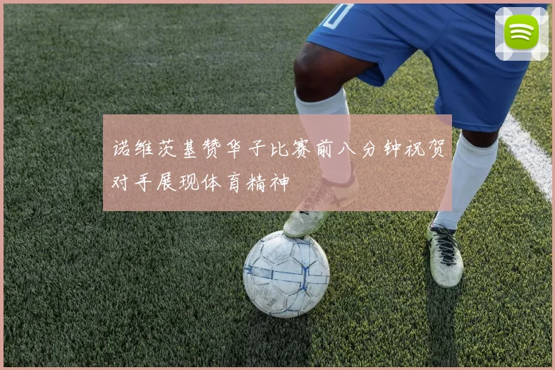 诺维茨基赞华子比赛前八分钟祝贺对手展现体育精神